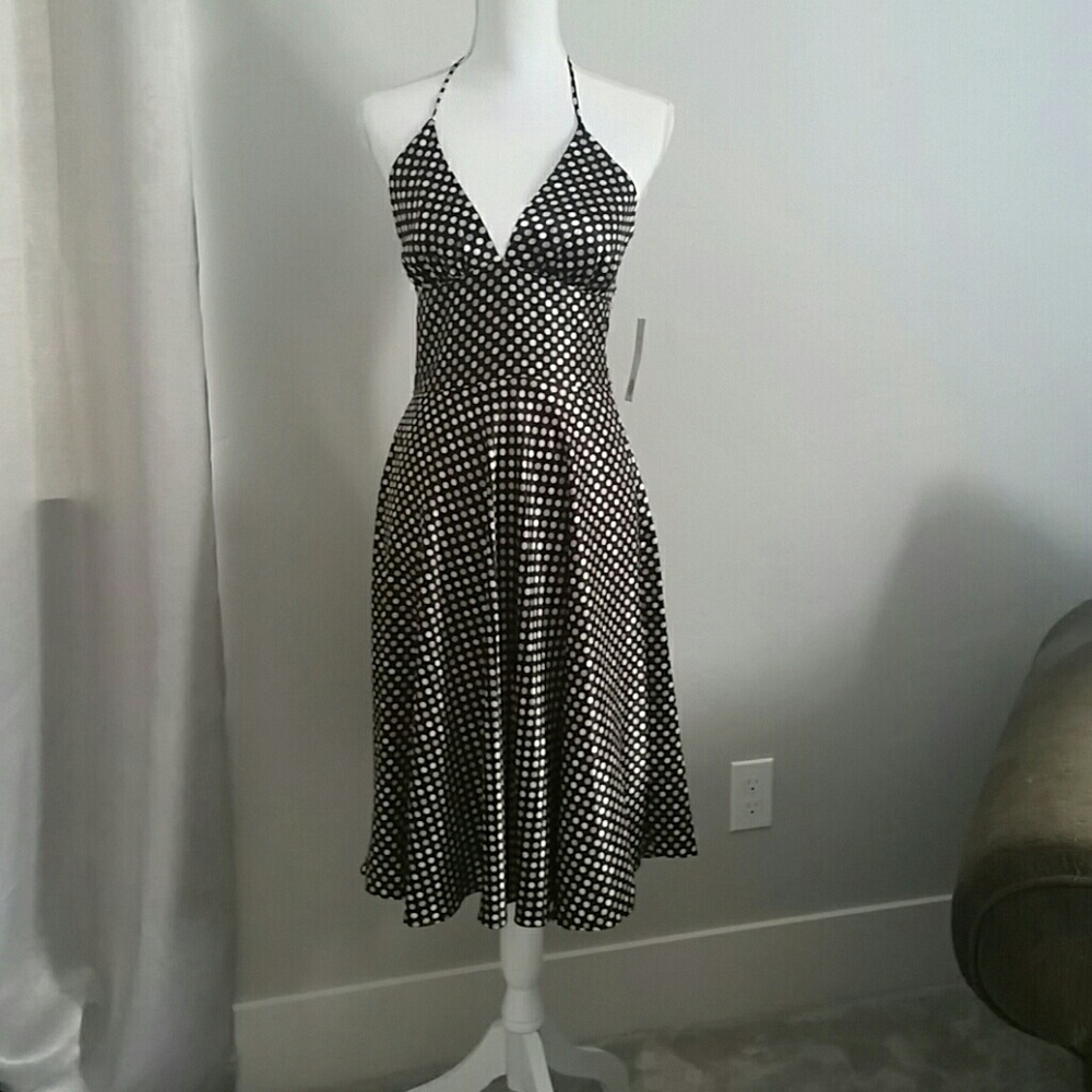 NWT Alyn Paige silk feel dress sz 3/4 fit like 6